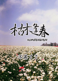 枯木逢春小说免费百度