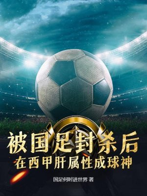 足球西甲是什么意思