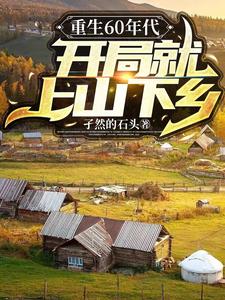小说重生60年代